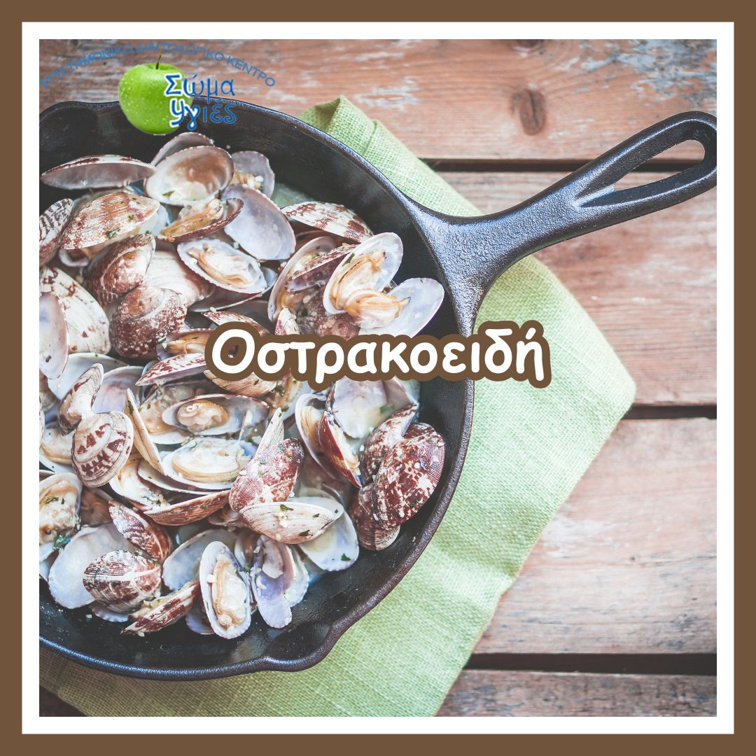 Οστρακοειδή