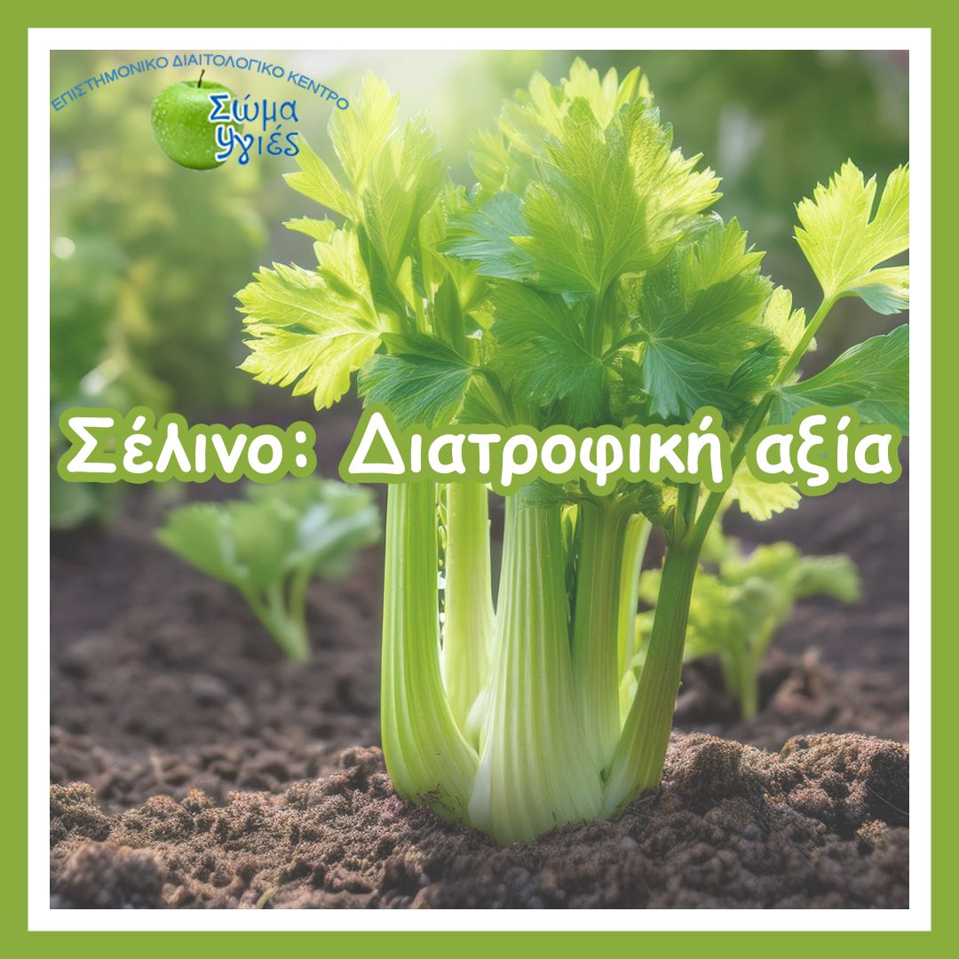Σέλινο: Διατροφική αξία