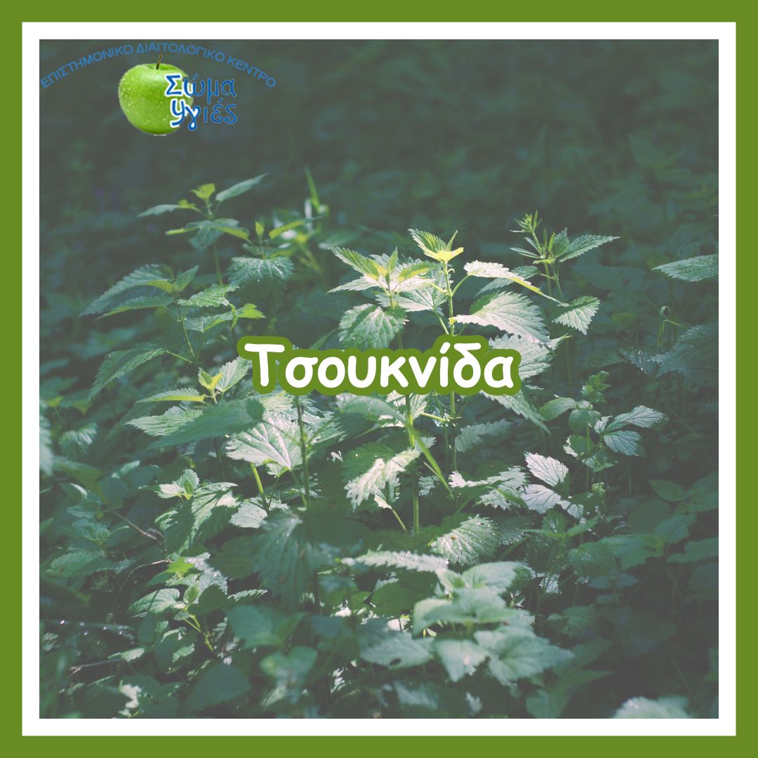 Tσουκνίδα