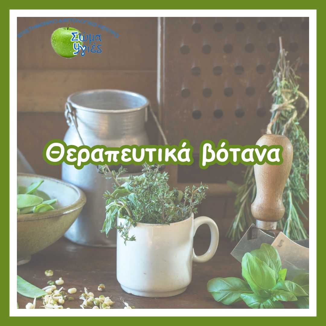Θεραπευτικά βότανα
